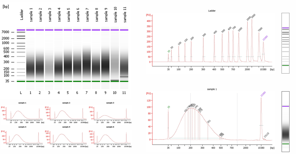 1648634742596268.jpg 2345_image_file_copy_6.jpg