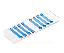 （ibidi）細(xì)胞計(jì)數(shù)載玻片80816