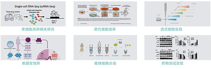 JX-CKSW系列產品應用-700 JX-CKSW系列產品應用-700